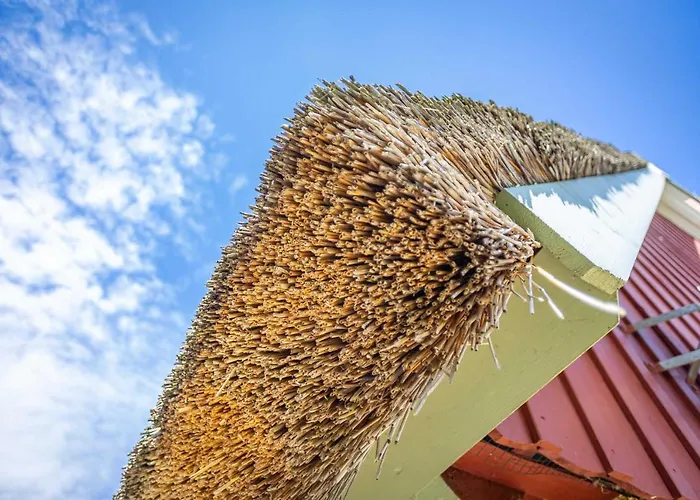 Σπίτι διακοπών 